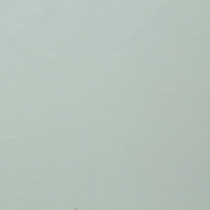 Royal Slub White by Europatex Designer Fabric Royal Slub 100% Polyester India 30,000 Double Rubs Horizontal: N/A and Vertical: N/A 55" - Swanky Fabrics -