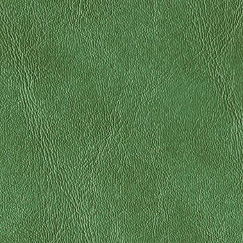 Royal Hampton Fern by Morbern Designer Fabric See sample 100% Vinyl  0 Horizontal: Not Applicable and Vertical: Not Applicable 54"  - Swanky Fabrics -