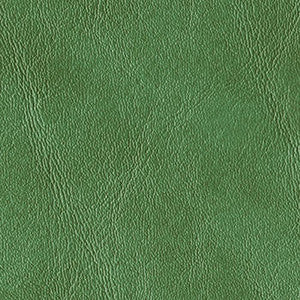 Royal Hampton Fern by Morbern Designer Fabric