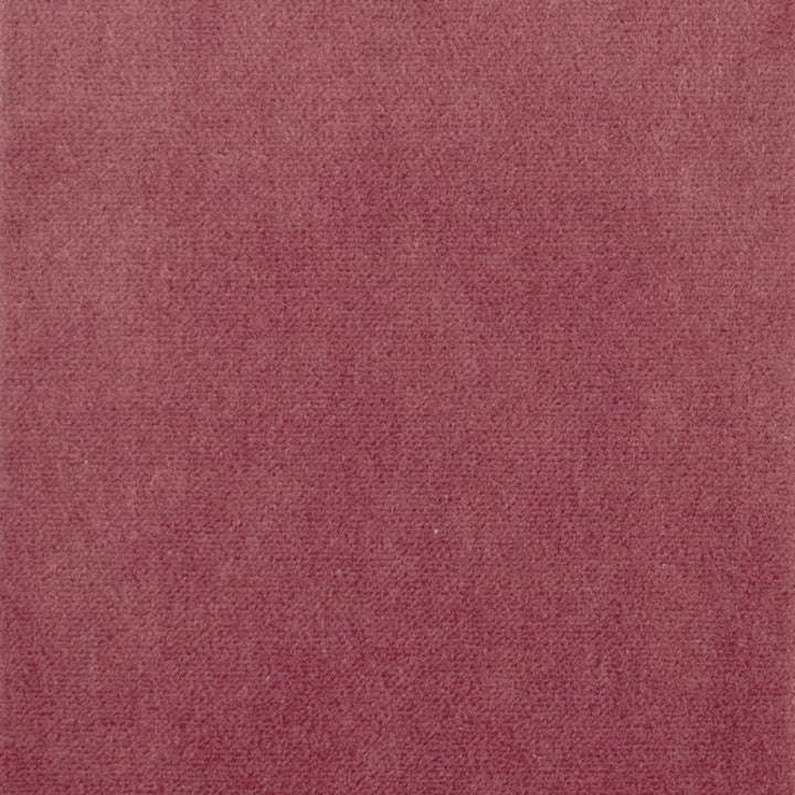 S1062 Berry by Greenhouse Designer Fabric 75% Polyester, 25% Cotton China 201,000 double rubs </p><p>Repeat: None 54" - Swanky Fabrics -