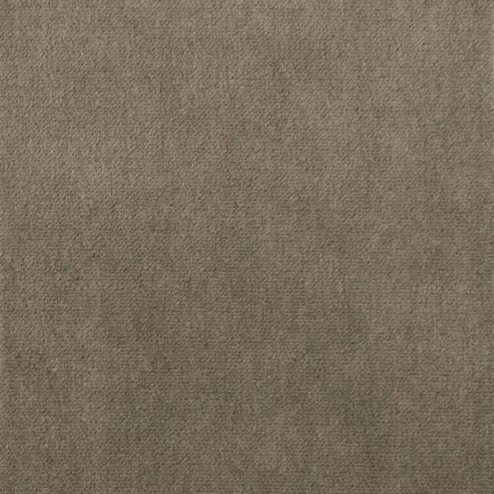 S1069 Elephant by Greenhouse Designer Fabric S44: Velvet Essentials 75% Polyester, 25% Cotton China 201,000 double rubs </p><p>Repeat: None 54" - Swanky Fabrics -