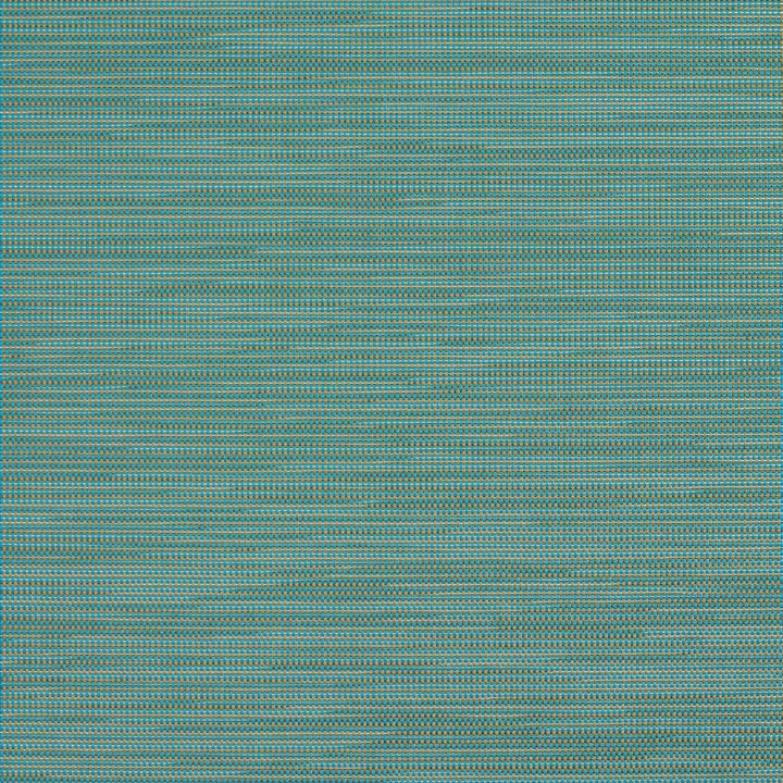 S121 Lagoon by Charlotte Designer Fabric Outdoor Sling 100% Coated Polyester Made In USA Exceeds 100,000 Wyzenbeek Rubs (Heavy Duty) No Repeat 54 Inches - Swanky Fabrics -