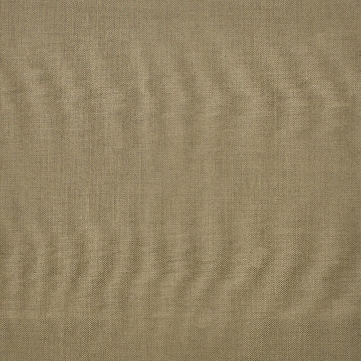 S1245 Bark by Greenhouse Designer Fabric 100% Polyester 
 2,000 Light Hours TAIWAN 427,500 </p><p>Repeat: None 54" - Swanky Fabrics -