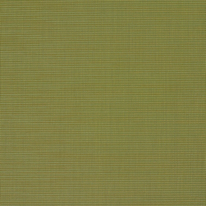 S134 Spring by Charlotte Designer Fabric Outdoor Sling 100% Coated Polyester Made In USA Exceeds 100,000 Wyzenbeek Rubs (Heavy Duty) No Repeat 54 Inches - Swanky Fabrics -
