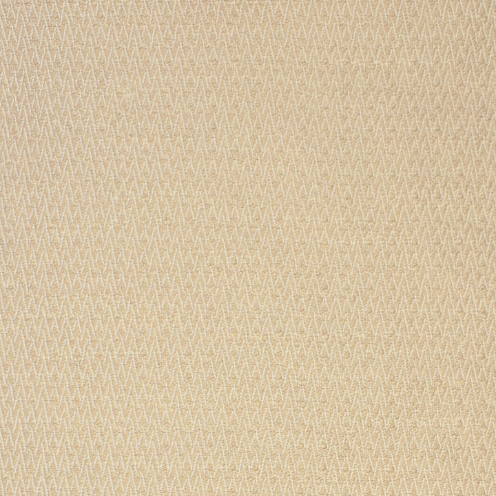 S2133 Dune by Greenhouse Designer Fabric 100% Polyester (Uv) USA 63,000 double rubs </p><p>Repeat: .375" H, .375" V 56" - Swanky Fabrics -