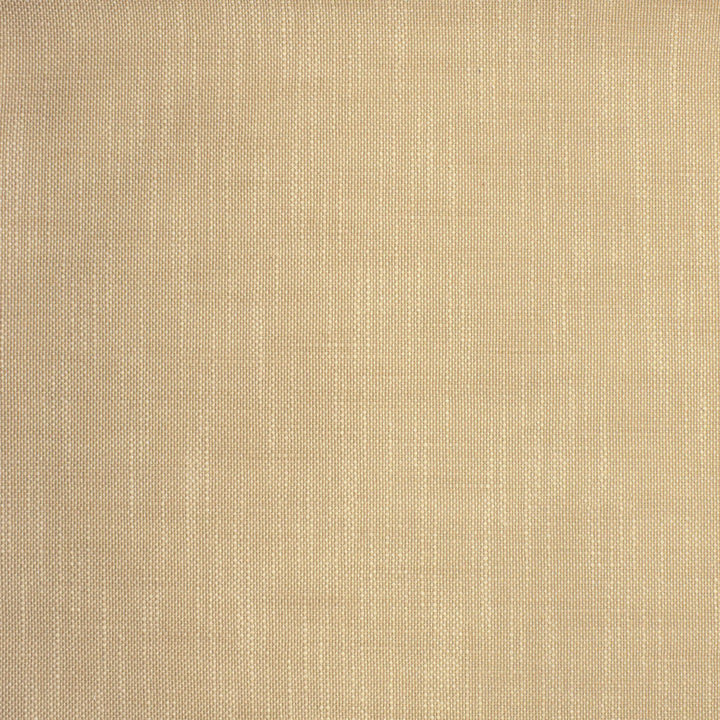 S2135 Latte by Greenhouse Designer Fabric 95.65% Polyester (Uv), 4.35% Olefin (Uv) USA 72,000 double rubs </p><p>Repeat: .063" H, .063" V 56" - Swanky Fabrics -