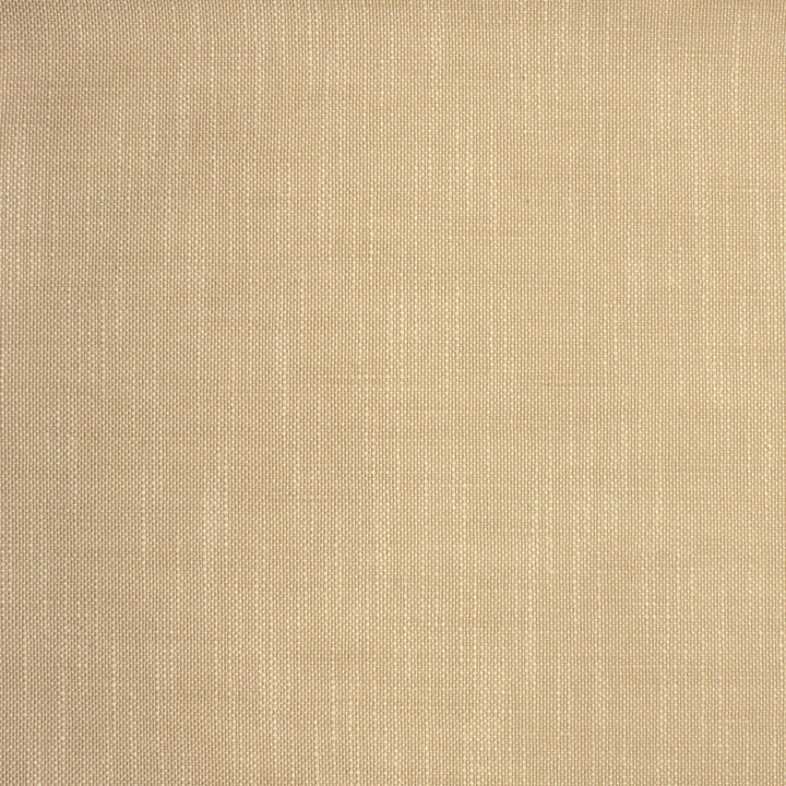 S2135 Latte by Greenhouse Designer Fabric 100% Polyester (Uv) USA 105,000 </p><p>Repeat: .063" H, .063" V 55" - Swanky Fabrics -