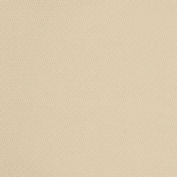 S2139 Chai by Greenhouse Designer Fabric 100% Polyester (Uv) USA 60,000 </p><p>Repeat: .344" H, .406" V 55" - Swanky Fabrics -