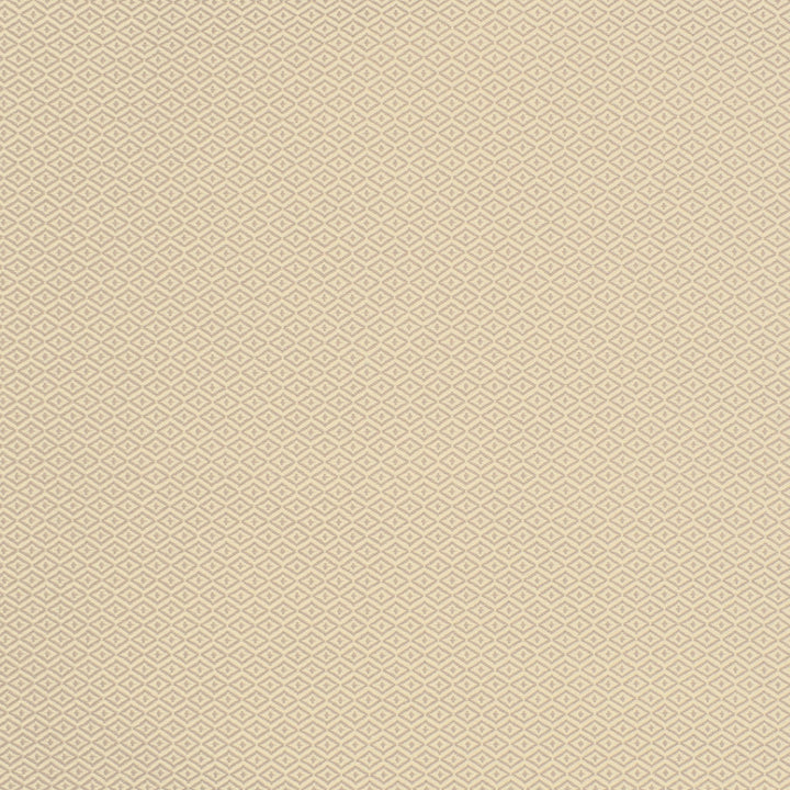 S2139 Chai by Greenhouse Designer Fabric 100% Polyester (Uv) USA 60,000 double rubs </p><p>Repeat: .344" H, .406" V 55" - Swanky Fabrics -