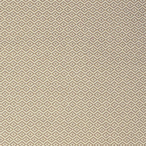 S2147 Dune by Greenhouse Designer Fabric