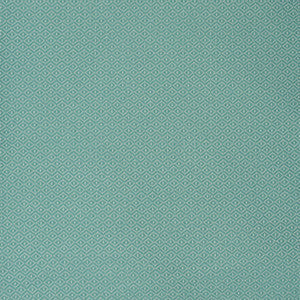 S2174 Surf by Greenhouse Designer Fabric