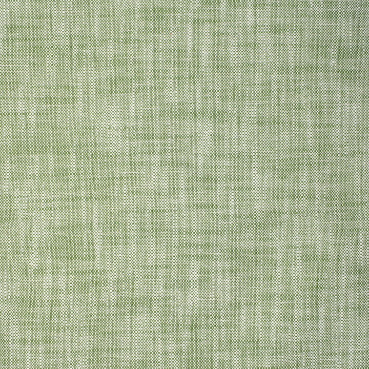 S2210 Lawn by Greenhouse Designer Fabric 100% Polyester (Uv) USA 105,000 </p><p>Repeat: .063" H, .063" V 55" - Swanky Fabrics -