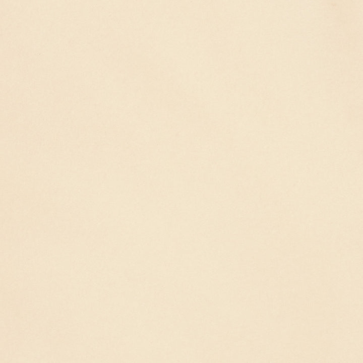 S2266 Creme by Greenhouse Designer Fabric 100% Polyester India 50,000 </p><p>Repeat: None 54" - Swanky Fabrics -