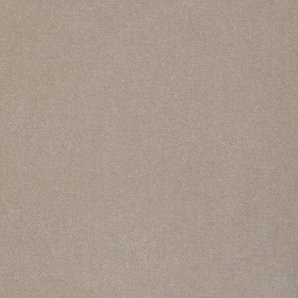S2297 Stone by Greenhouse Designer Fabric S61: Crypton Velvet 100% Polyester India 50,000 double rubs Soil Resistant </p><p>Repeat: None 54" - Swanky Fabrics -