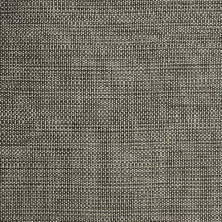 S2303 Chrome by Greenhouse Designer Fabric 57.56% Polyester, 21.95% Cotton, 20.07% Rayon, .42% Nylon USA 45,000 </p><p>Repeat: .188" H, .05" V 55" - Swanky Fabrics -