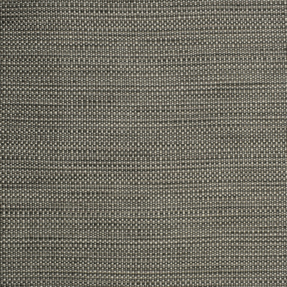 S2303 Chrome by Greenhouse Designer Fabric S26: Crypton Home Neutrals 57.56% Polyester, 21.95% Cotton, 20.07% Rayon, .42% Nylon USA 45,000 double rubs Crypton </p><p>Repeat: .188" H, .05" V 55" - Swanky Fabrics -