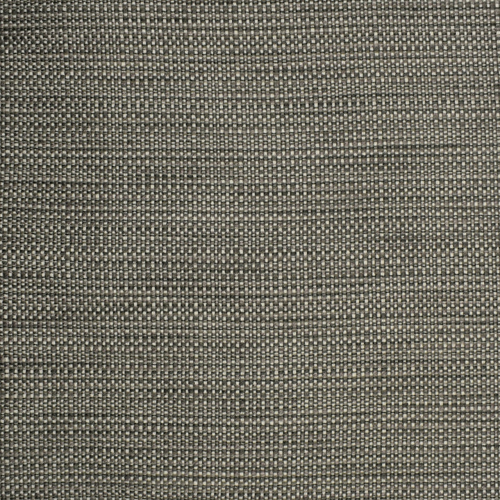 S2303 Chrome by Greenhouse Designer Fabric 57.56% Polyester, 21.95% Cotton, 20.07% Rayon, .42% Nylon USA 45,000 double rubs </p><p>Repeat: .188" H, .05" V 55" - Swanky Fabrics -