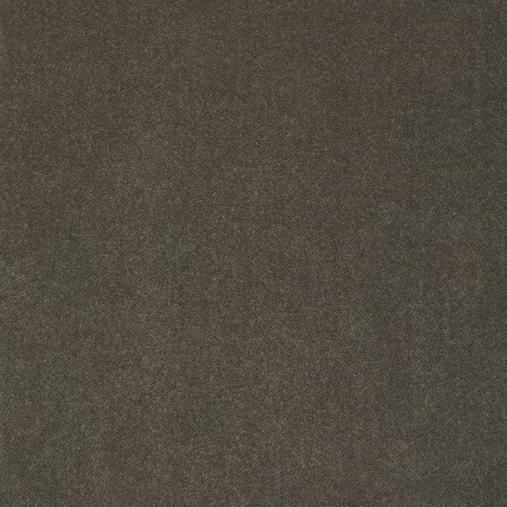 S2306 Slate by Greenhouse Designer Fabric S61: Crypton Velvet 100% Polyester India 50,000 double rubs Soil Resistant </p><p>Repeat: None 54" - Swanky Fabrics -