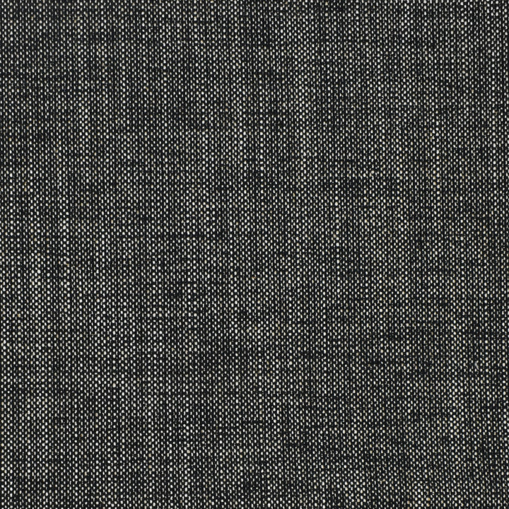 S2309 Charcoal by Greenhouse Designer Fabric S46: Crypton Home Neutrals 92% Polyester, 8% Linen China 100,000 double rubs </p><p>Repeat: NONE 54" - Swanky Fabrics -