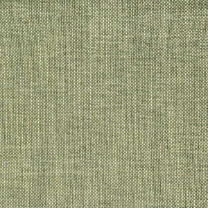 S2354 Eucalyptus by Greenhouse Designer Fabric