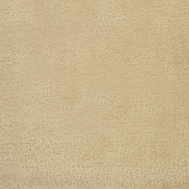 S2800 Camel by Greenhouse Designer Fabric 100% Polyester China 50,000 </p><p>Repeat: None 54" - Swanky Fabrics -
