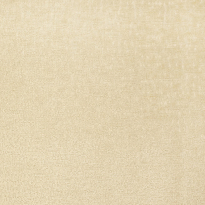 S2805 Custard by Greenhouse Designer Fabric 100% Polyester China 50,000 </p><p>Repeat: None 54" - Swanky Fabrics -