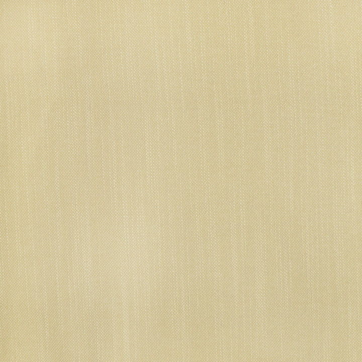 S2806 Parchment by Greenhouse Designer Fabric 100% Polyester China 100,000 double rubs </p><p>Repeat: None 54" - Swanky Fabrics -