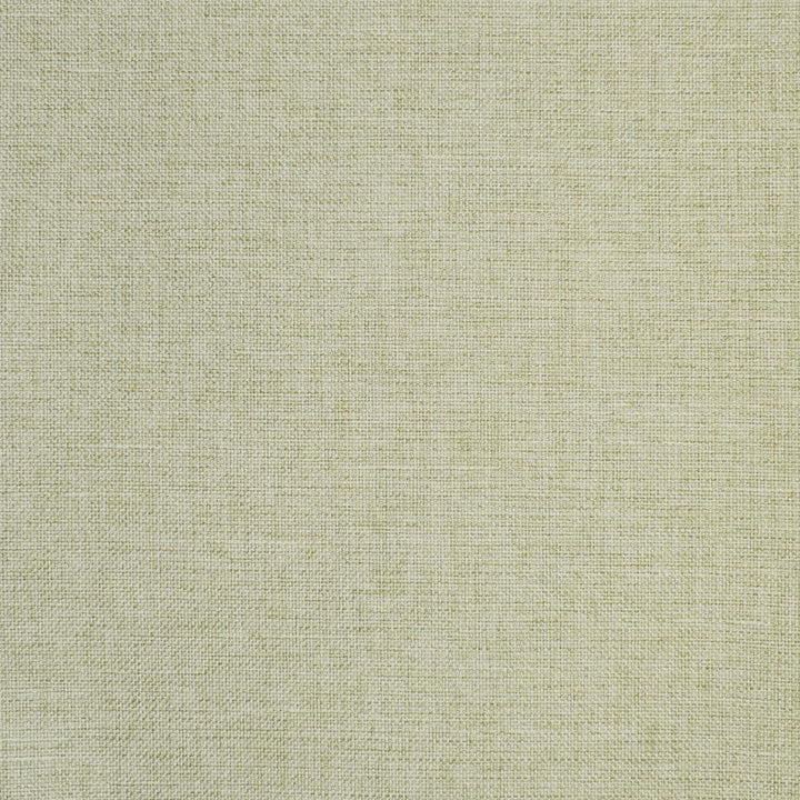S2864 Celery by Greenhouse Designer Fabric 100% Polyester CHINA 51,000 </p><p>Repeat: None 55" - Swanky Fabrics -