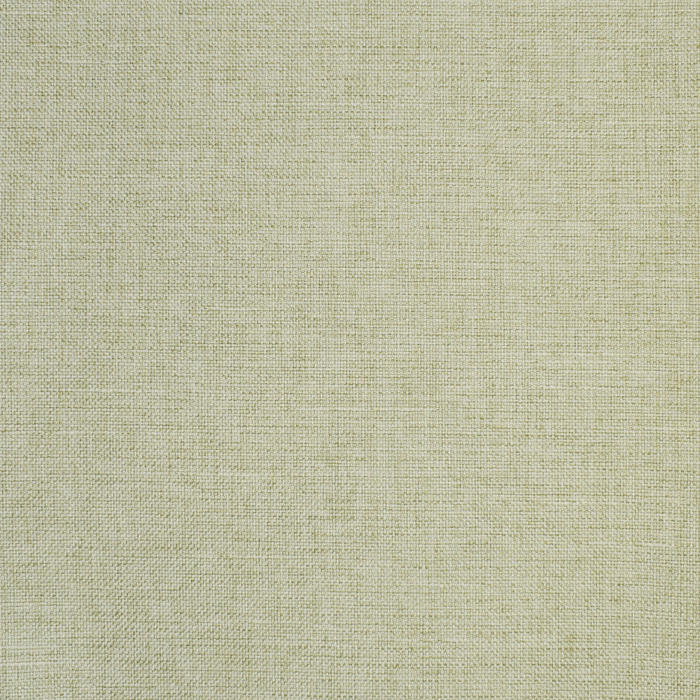 S2864 Celery by Greenhouse Designer Fabric 100% Polyester China 51,000 double rubs </p><p>Repeat: None 55" - Swanky Fabrics -