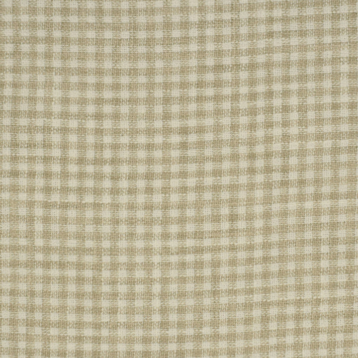 S2918 Beach by Greenhouse Designer Fabric 100% Polyester India 100,000 double rubs </p><p>Repeat: None 54" - Swanky Fabrics -