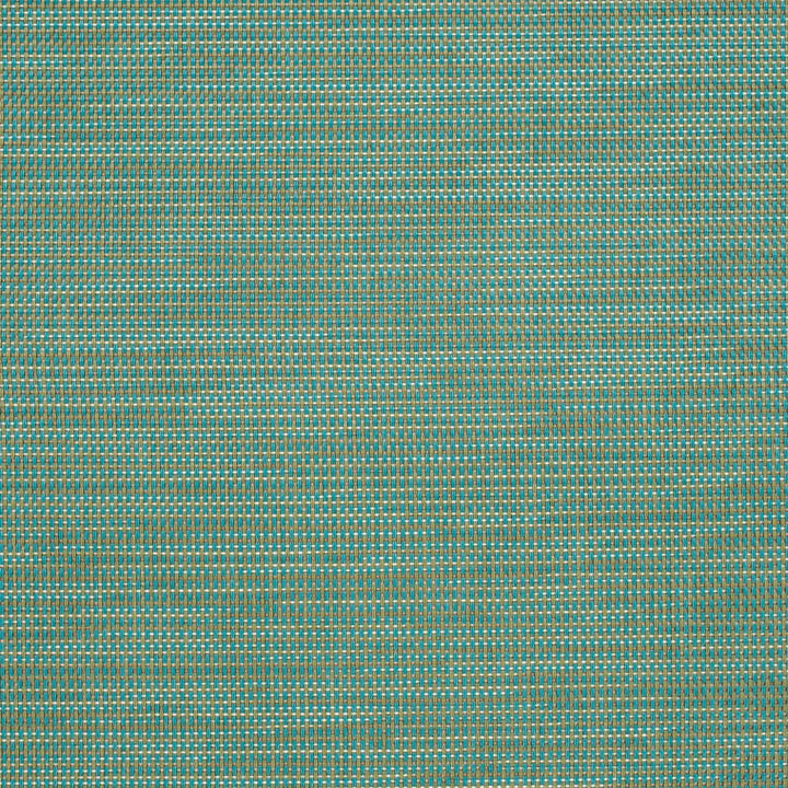 S303 Capri by Charlotte Designer Fabric Sling II 100% Coated Polyester USA </p><p>Repeat: 54 Inches - Swanky Fabrics -