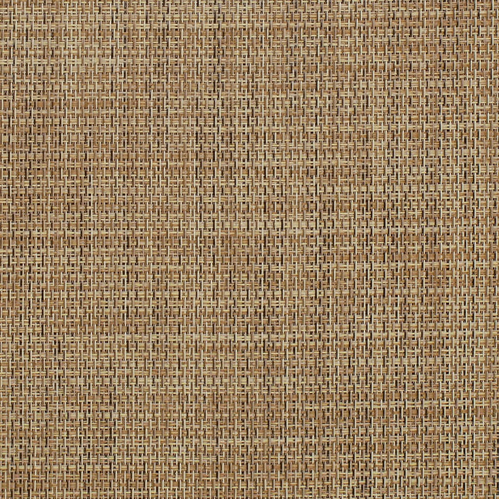 S320 Almond by Charlotte Designer Fabric Sling II 100% Coated Polyester USA </p><p>Repeat: 54 Inches - Swanky Fabrics -