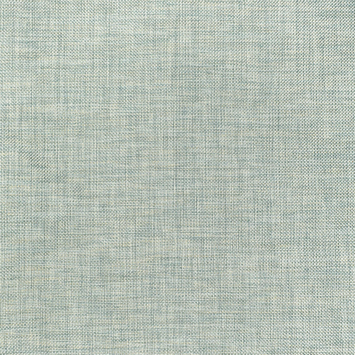 S3224 Mist by Greenhouse Designer Fabric 63% Polyester, 35% Viscose, 2% Polyamide CHINA 37,000 </p><p>Repeat: No Definite Repeat 55" - Swanky Fabrics -