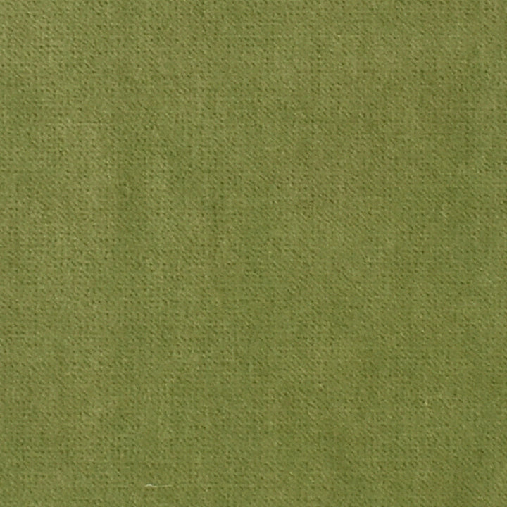S3325 Sprout by Greenhouse Designer Fabric S44: Velvet Essentials 75% Polyester, 25% Cotton China 201,000 double rubs </p><p>Repeat: None 54" - Swanky Fabrics -