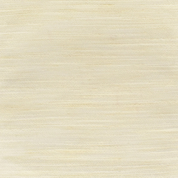 S3348 Pearl by Greenhouse Designer Fabric 100% Polyester INDIA Drapery </p><p>Repeat: None 54" - Swanky Fabrics -