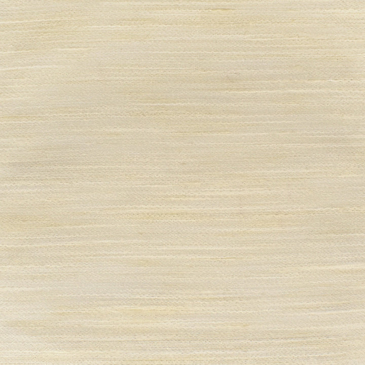 S3349 Sugarcane by Greenhouse Designer Fabric 100% Polyester India Drapery double rubs </p><p>Repeat: None 54" - Swanky Fabrics -