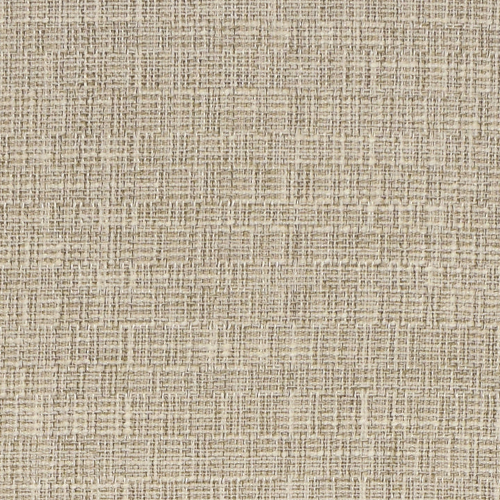 S3369 Alabaster by Greenhouse Designer Fabric 53% Polyester, 38% Cotton, 9% Viscose India 42,500 double rubs </p><p>Repeat: None 55" - Swanky Fabrics -
