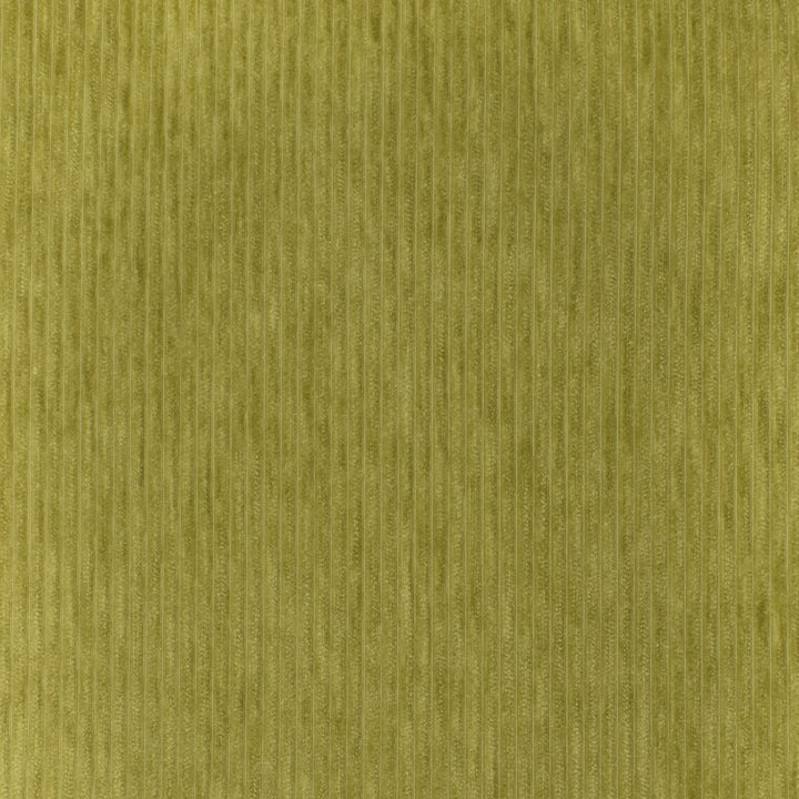 S3545 Granny Smith by Greenhouse Designer Fabric 100% Polyester China 50,000 double rubs </p><p>Repeat: None 54" - Swanky Fabrics -