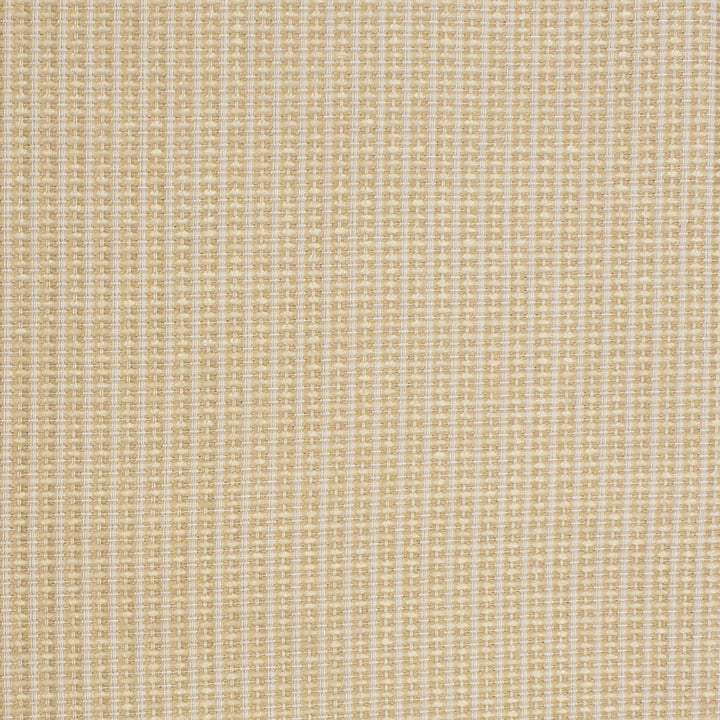 S3680 Cameo by Greenhouse Designer Fabric S48: Crypton Home Neutrals 37.83% Pcr Polyester, 29.33% Polyester, 19.31% Rayon, 13.53% Cotton USA 33,000 double rubs Performance </p><p>Repeat: .313" H, .063" V 55" - Swanky Fabrics -