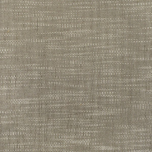 S3723 Fossil by Greenhouse Designer Fabric
