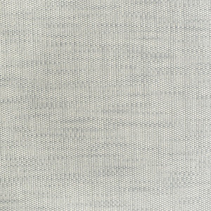 S3753 Cloud by Greenhouse Designer Fabric