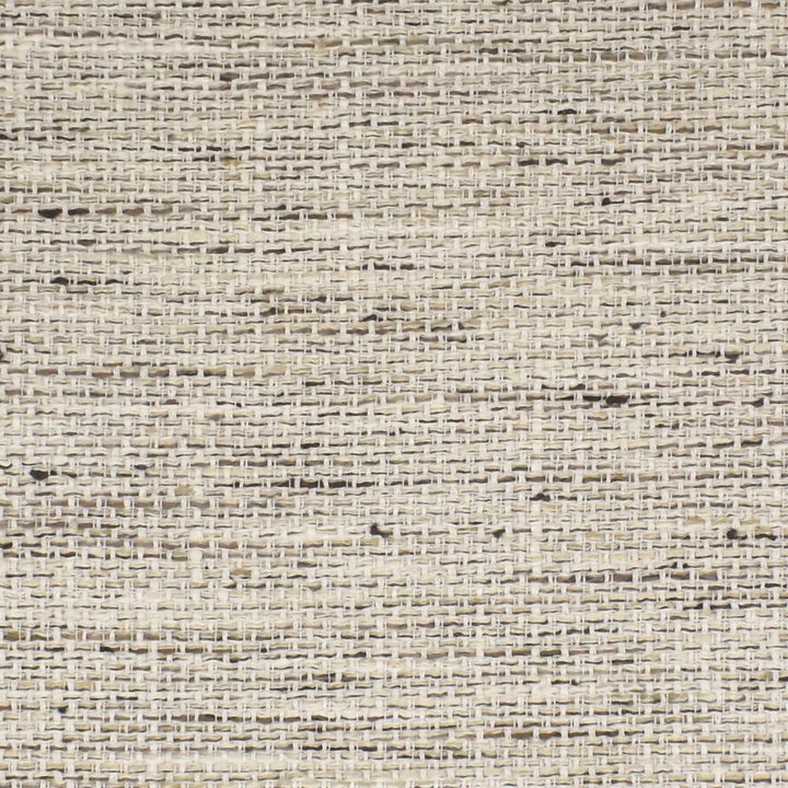 S3827 Marble by Greenhouse Designer Fabric 100% Polyester India 51,000 double rubs </p><p>Repeat: None 54" - Swanky Fabrics -