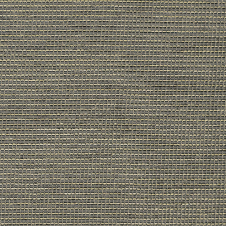 S3831 Mercury by Greenhouse Designer Fabric 95% Polyester, 5% Viscose China 50,000 double rubs </p><p>Repeat: None 55" - Swanky Fabrics -