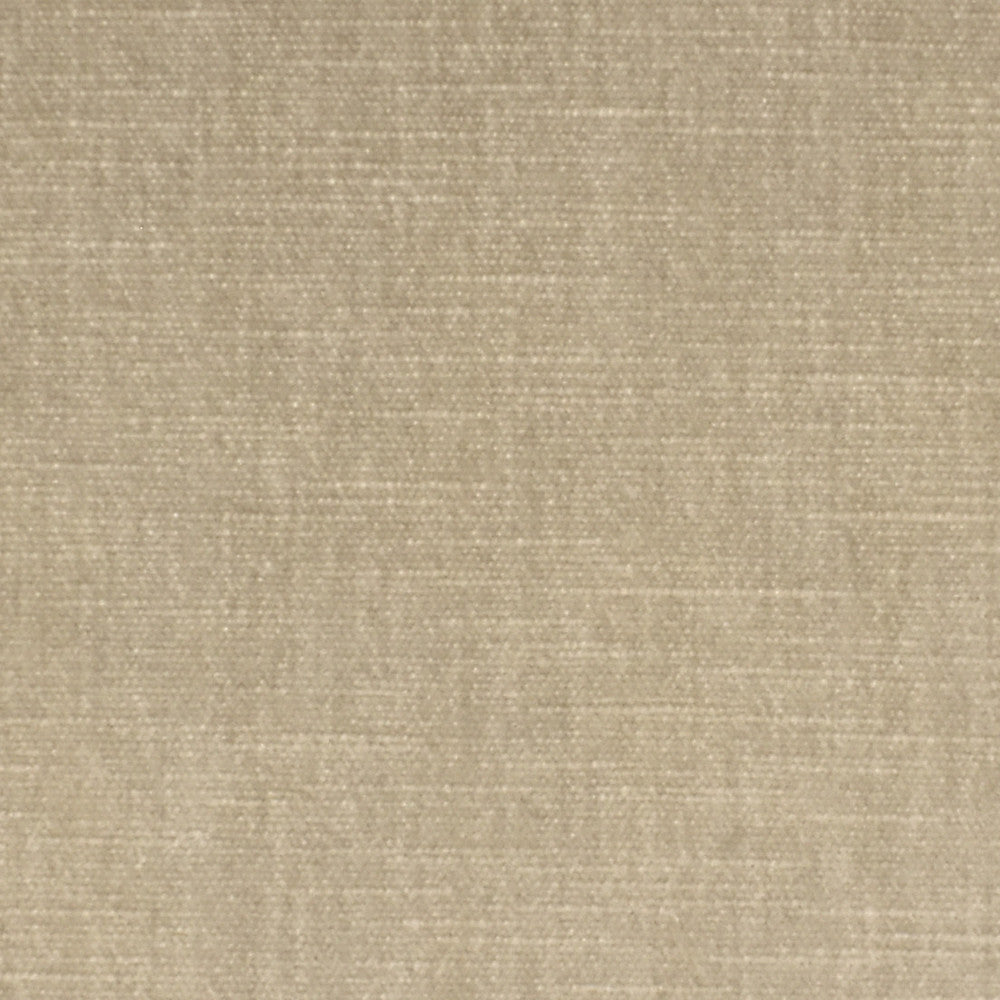 S3834 Macadamia by Greenhouse Designer Fabric 62% Polyester, 38% Cotton India 51,000 </p><p>Repeat: None 54" - Swanky Fabrics -