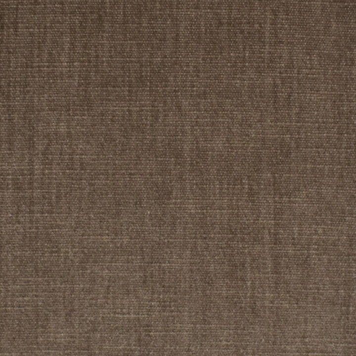 S3871 Birch by Greenhouse Designer Fabric 62% Polyester, 38% Cotton India 51,000 double rubs </p><p>Repeat: None 54" - Swanky Fabrics -