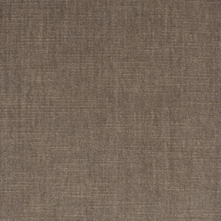 S3871 Birch by Greenhouse Designer Fabric S68: Performance Chenille 62% Polyester, 38% Cotton India 51,000 double rubs Water & Soil Repellent </p><p>Repeat: None 54" - Swanky Fabrics -