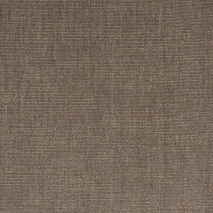 S3871 Birch by Greenhouse Designer Fabric 62% Polyester, 38% Cotton India 51,000 </p><p>Repeat: None 54" - Swanky Fabrics -
