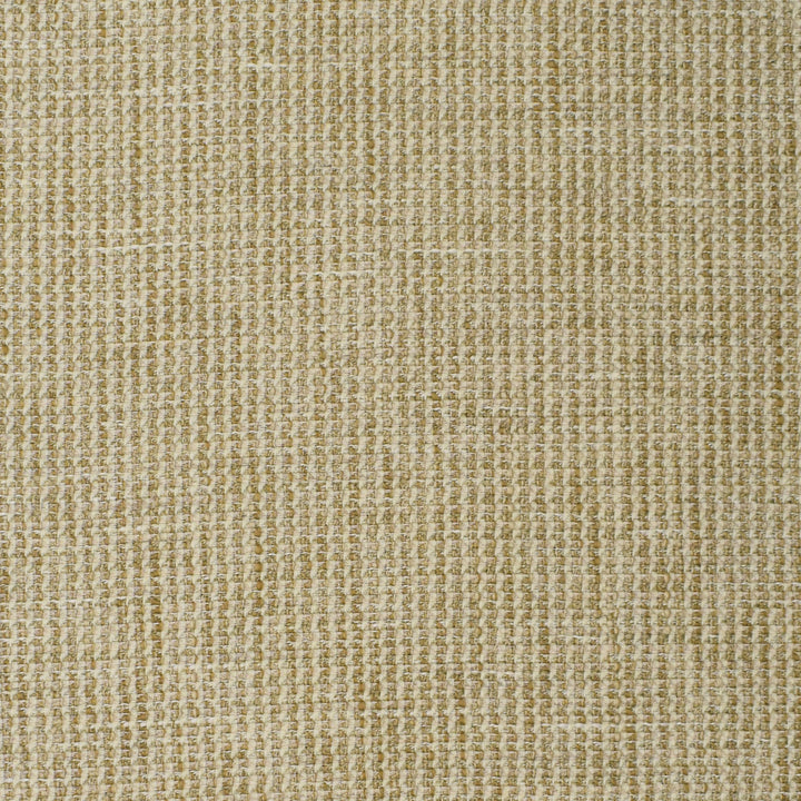 S3887 Stonewash by Greenhouse Designer Fabric 100% Polyester India 100,000 double rubs </p><p>Repeat: None 56" - Swanky Fabrics -