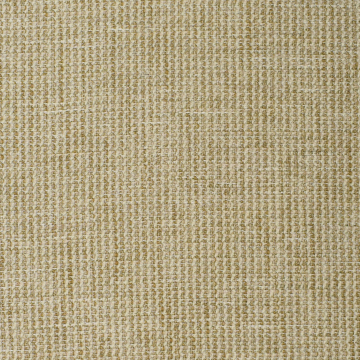 S3887 Stonewash by Greenhouse Designer Fabric 100% Polyester India 100,000 </p><p>Repeat: None 56" - Swanky Fabrics -