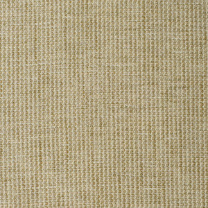 S3887 Stonewash by Greenhouse Designer Fabric
